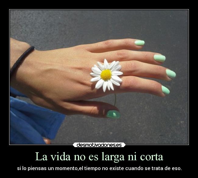 La vida no es larga ni corta - si lo piensas un momento,el tiempo no existe cuando se trata de eso.