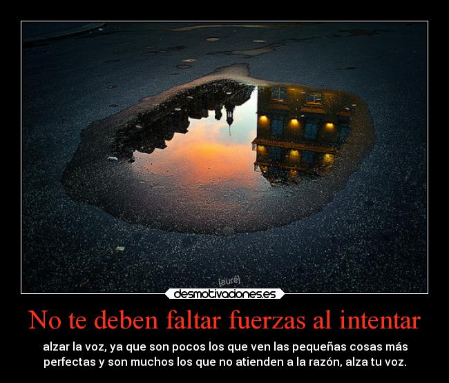 carteles que de verguenza que peores capullos salen television ejercitodemar ramsfilosofic desmotivaciones