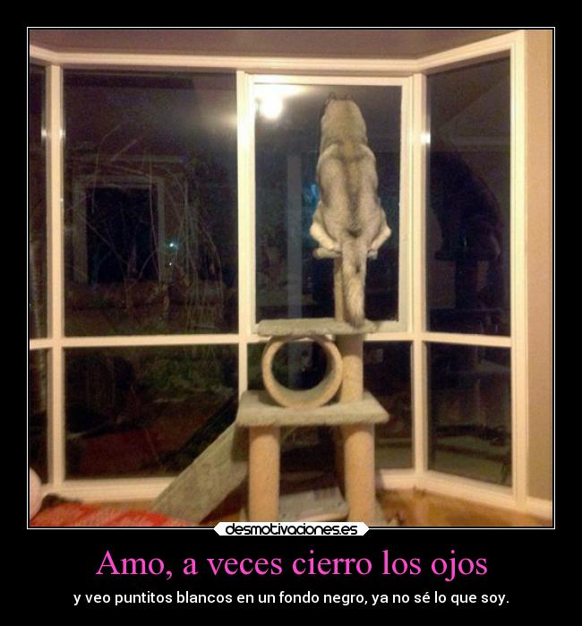 Amo, a veces cierro los ojos - 