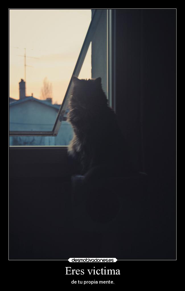 Eres victima - 