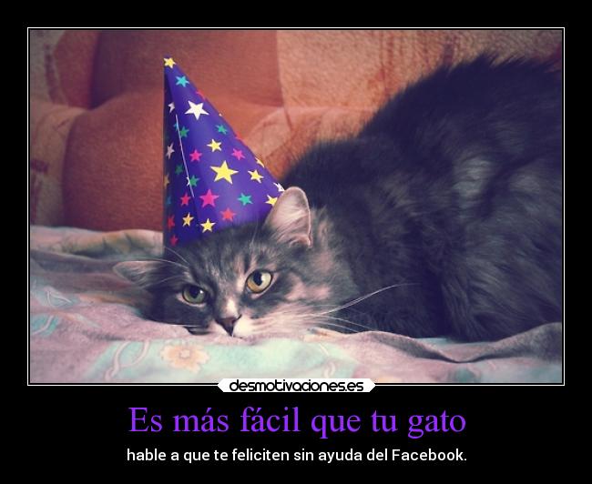 Es más fácil que tu gato - 