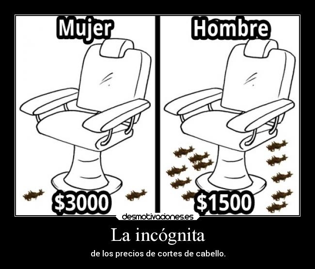 La incógnita - de los precios de cortes de cabello.