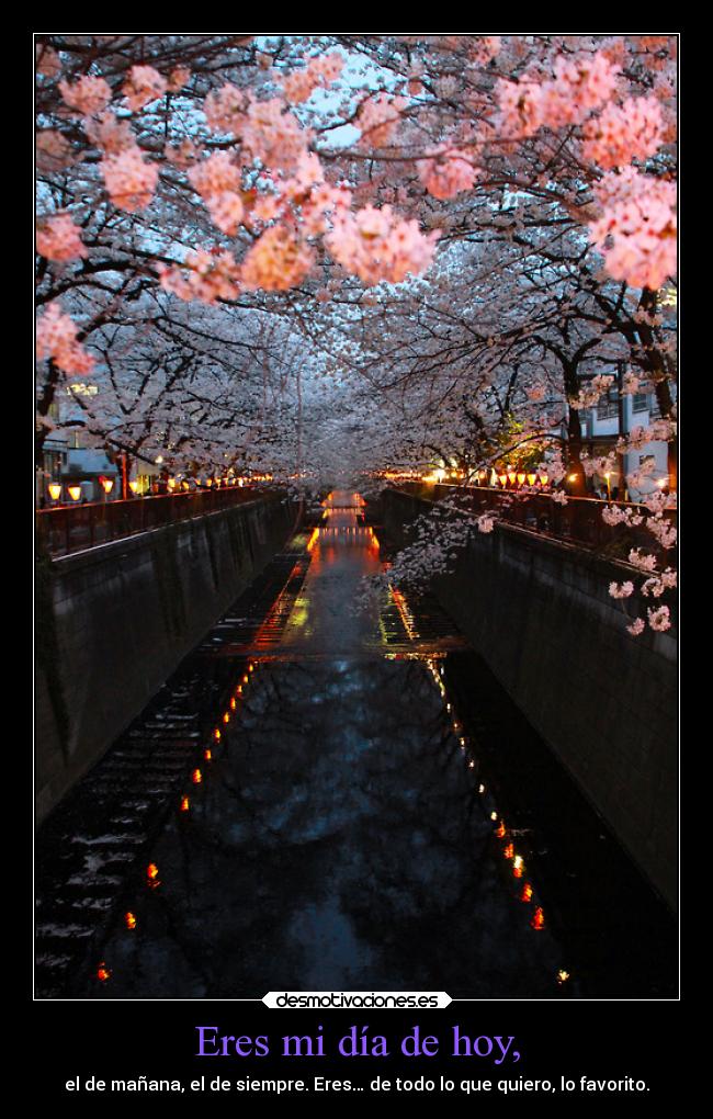 carteles amor magicalsurrealism tumblr lobitozxc kattynyan nomiresaqui raptorhunters desmotivaciones