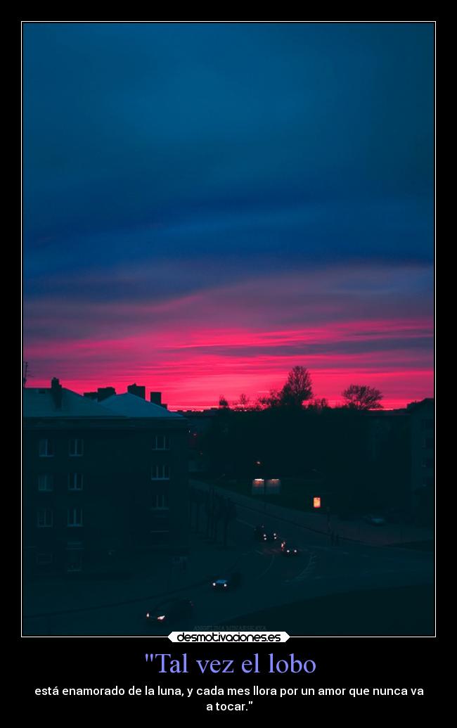 Tal vez el lobo - 