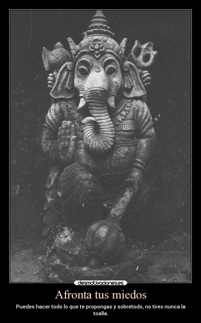 Afronta tus miedos - Puedes hacer todo lo que te propongas y sobretodo, no tires nunca la
toalla.