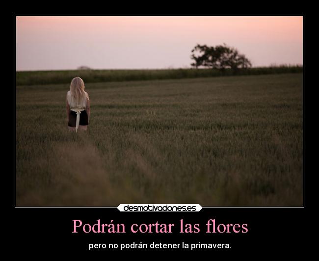 Podrán cortar las flores -
