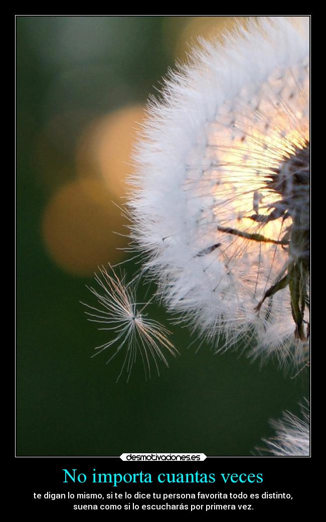 No importa cuantas veces -