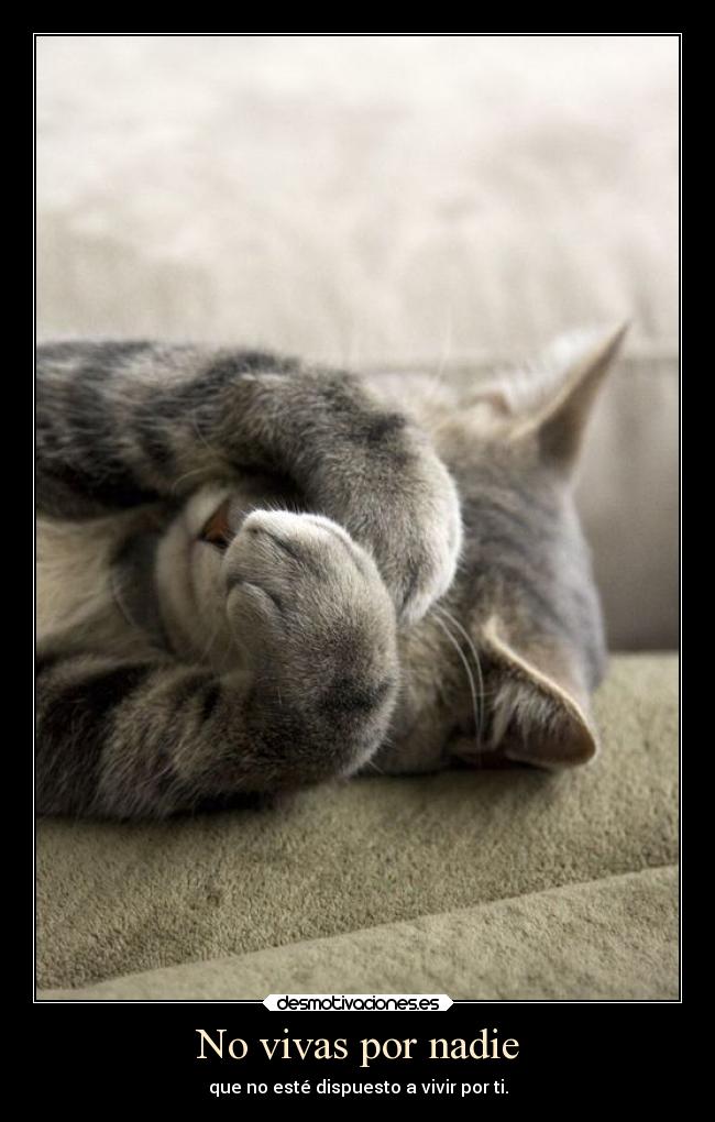 carteles felicidad vida tristeza sonrisa suenos promesas mundo ignorancia criticas amor ausencia desmotivaciones