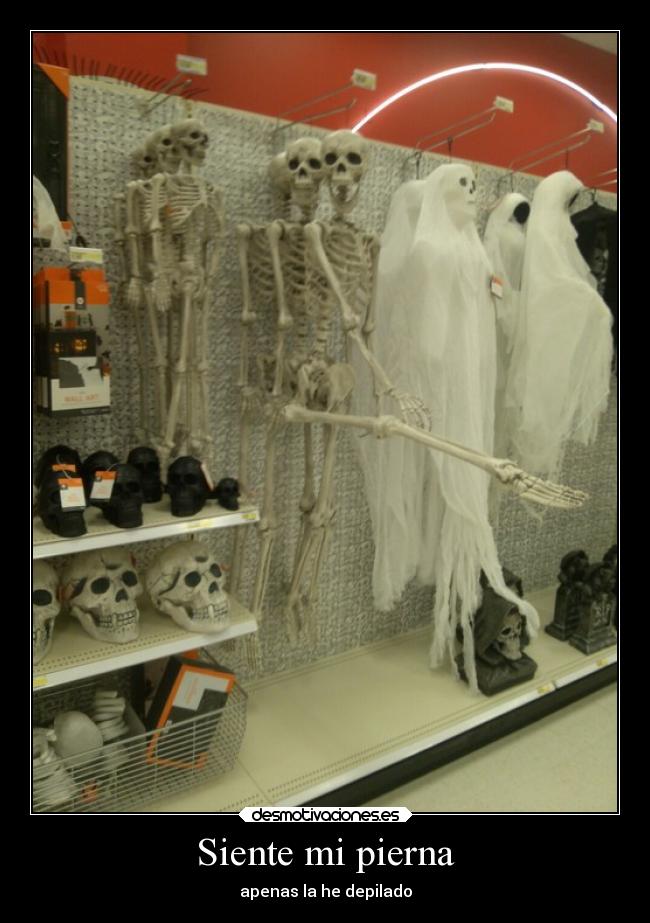 Siente mi pierna - apenas la he depilado