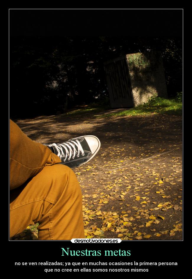 Nuestras metas - 