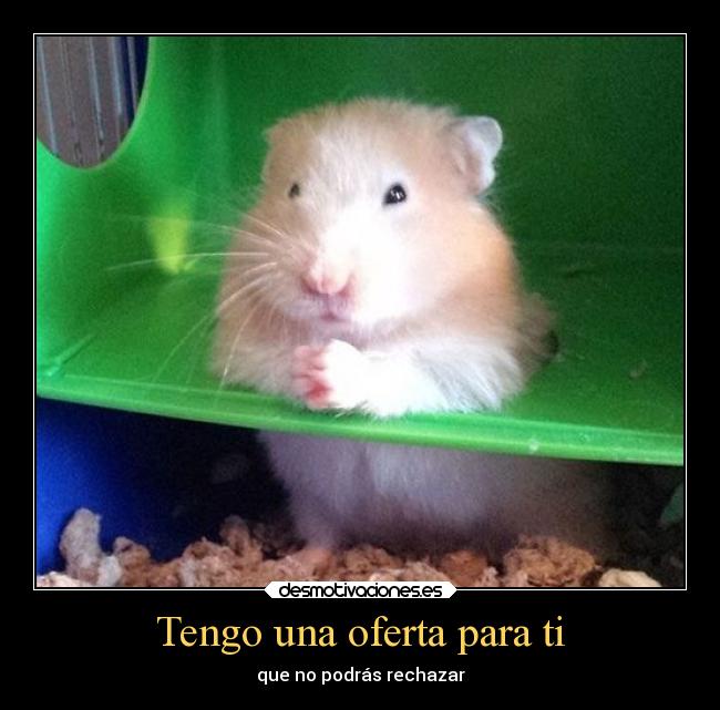 Tengo una oferta para ti - 