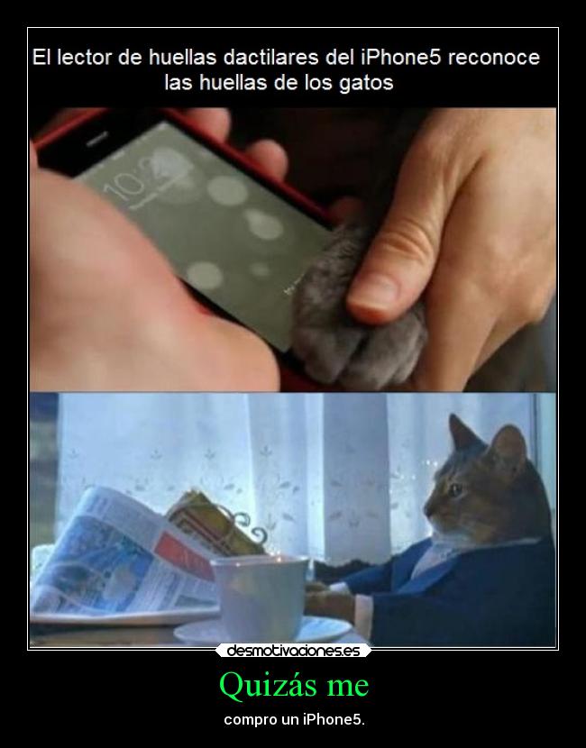 carteles gatosintelectual lee periodico mis hijas llamaran arya esteva lucina esteva severa esteva desmotivaciones