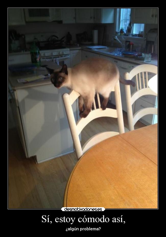 Sí, estoy cómodo así, -