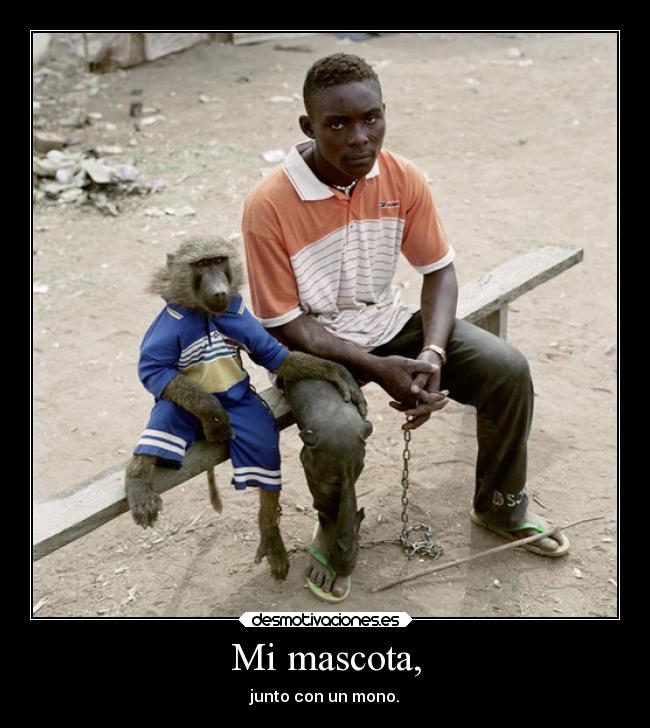 Mi mascota, -