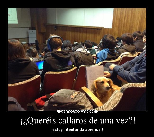 ¡¿Queréis callaros de una vez?! -