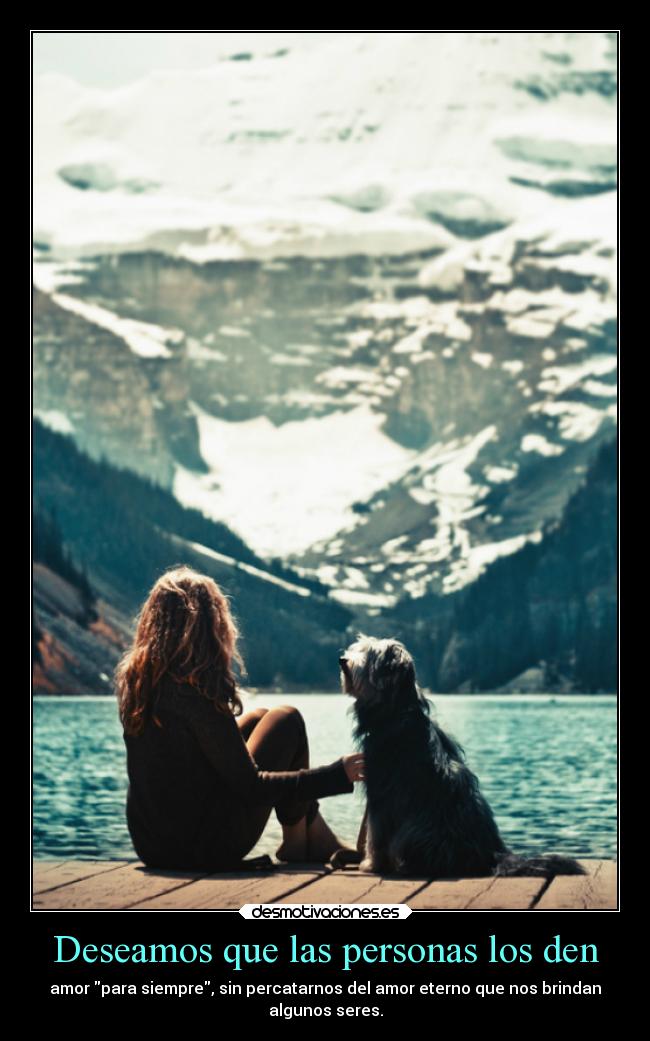 carteles desmotivaciones amor desmotivaciones