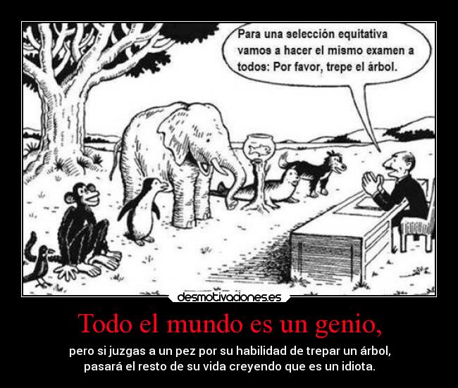 Todo el mundo es un genio, -