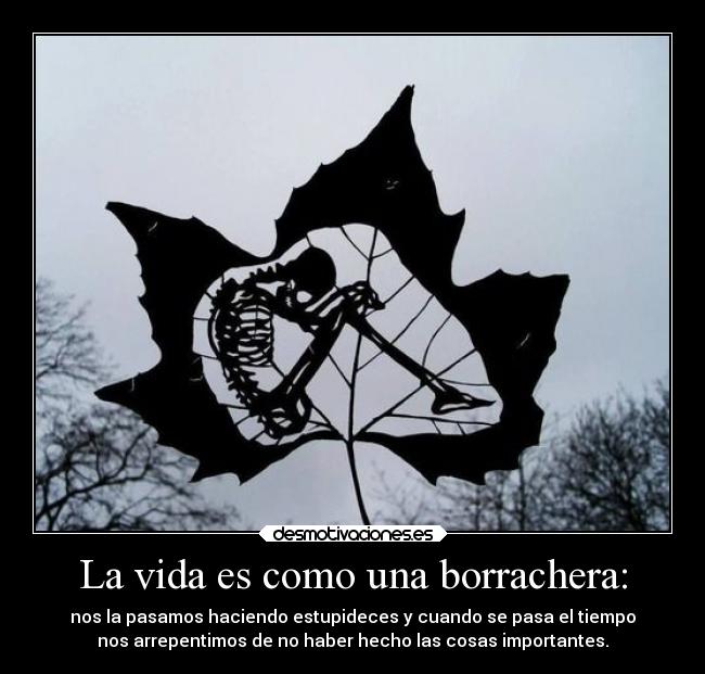 La vida es como una borrachera: - nos la pasamos haciendo estupideces y cuando se pasa el tiempo
nos arrepentimos de no haber hecho las cosas importantes.