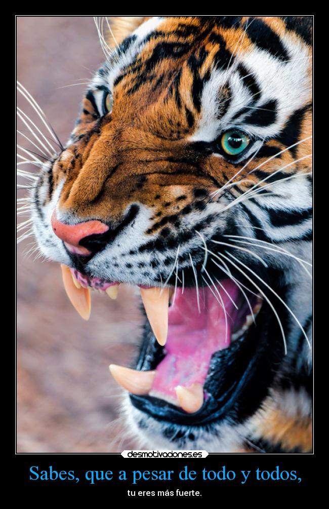 Sabes, que a pesar de todo y todos, - tu eres más fuerte.