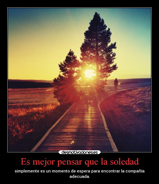 Es mejor pensar que la soledad - simplemente es un momento de espera para encontrar la compañía
adecuada.