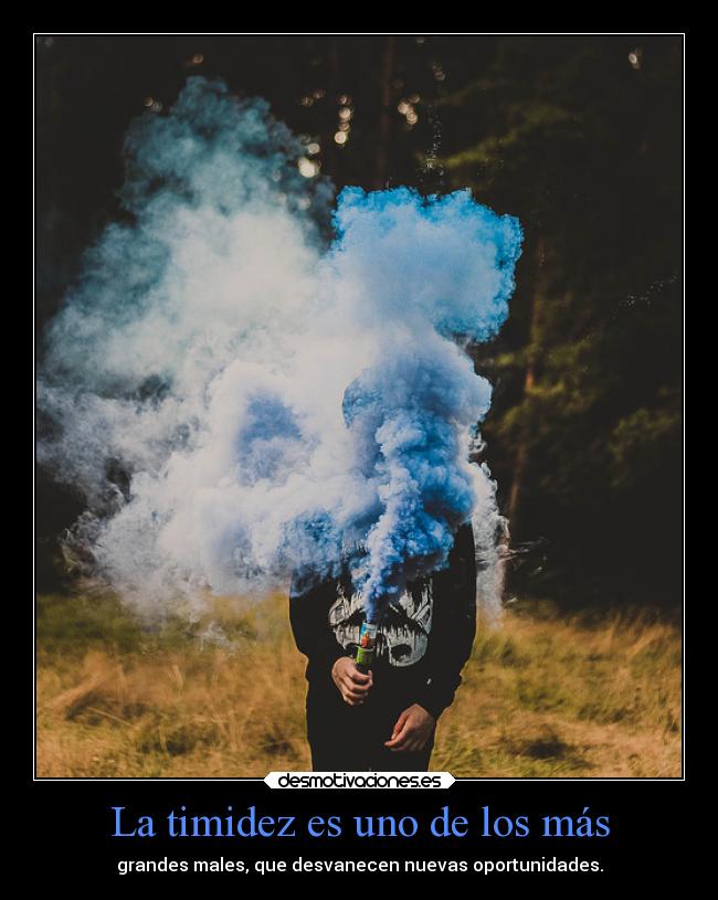 La timidez es uno de los más - grandes males, que desvanecen nuevas oportunidades.