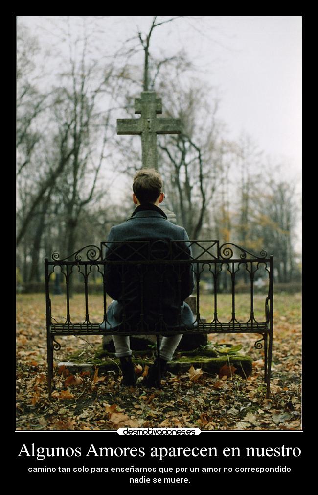 Algunos Amores aparecen en nuestro - camino tan solo para enseñarnos que por un amor no correspondido
nadie se muere.