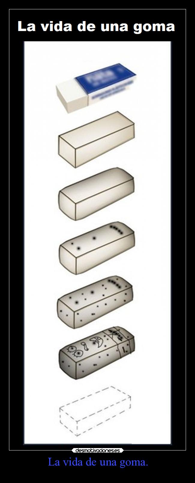 La vida de una goma. - 