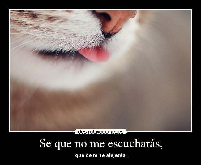 Se que no me escucharás, - que de mi te alejarás.