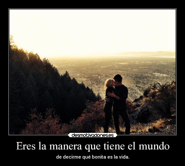 carteles mundo amor desmotivaciones