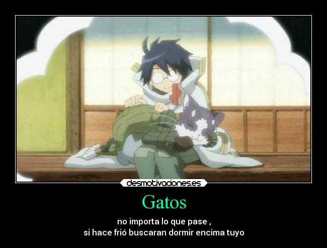 Gatos - no importa lo que pase ,
si hace frió buscaran dormir encima tuyo