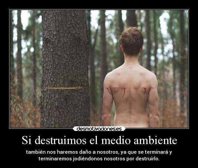 Si destruimos el medio ambiente -