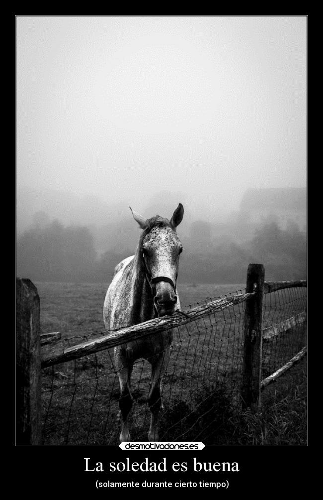 La soledad es buena - (solamente durante cierto tiempo)