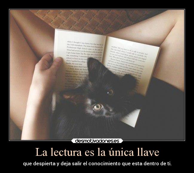 La lectura es la única llave - que despierta y deja salir el conocimiento que esta dentro de ti.