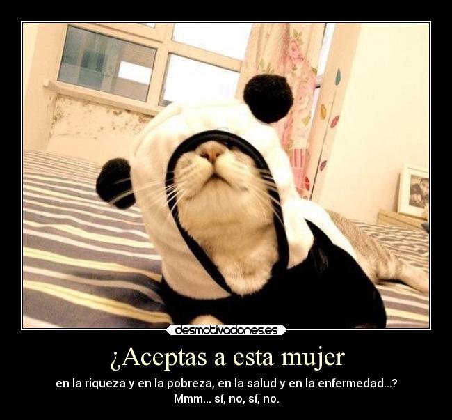 ¿Aceptas a esta mujer - en la riqueza y en la pobreza, en la salud y en la enfermedad...?
Mmm... sí, no, sí, no.