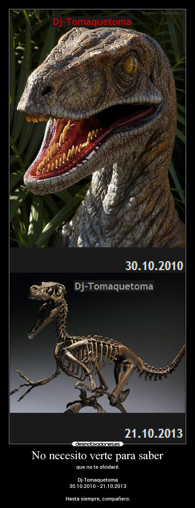 No necesito verte para saber -