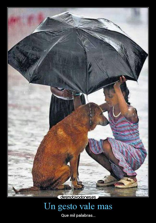 Un gesto vale mas - Que mil palabras...