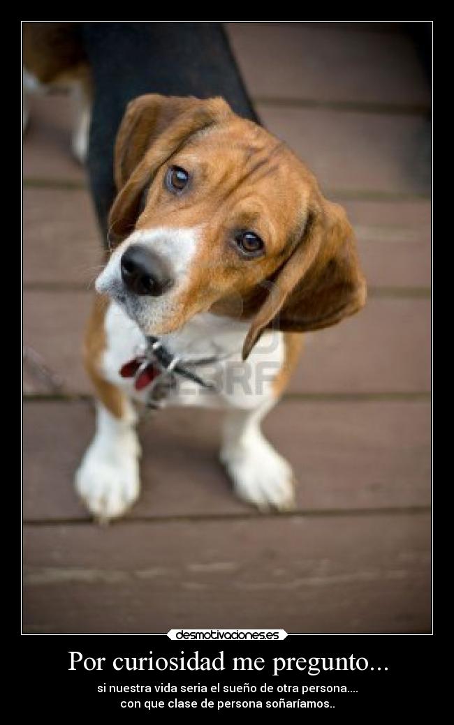 carteles amor desmotivaciones