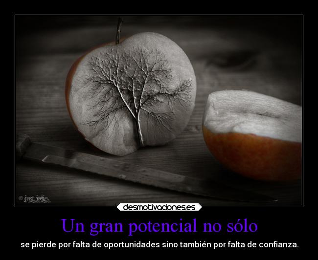 Un gran potencial no sólo - 