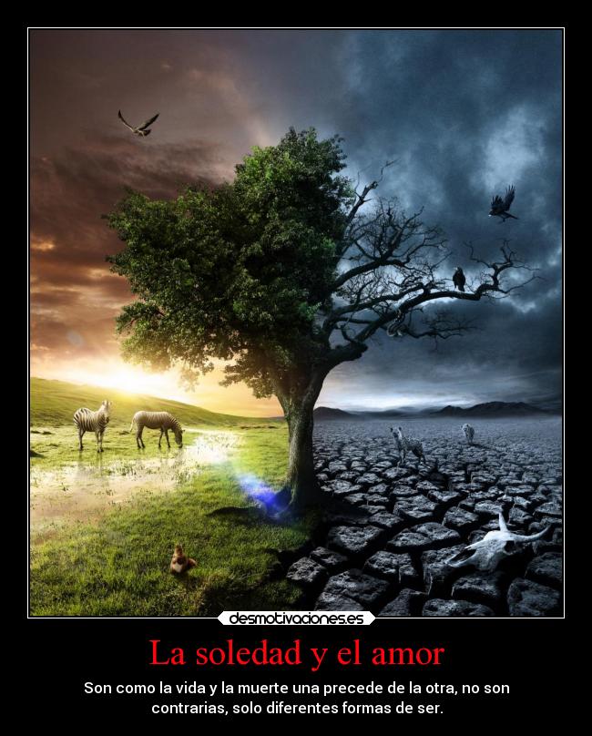 La soledad y el amor - Son como la vida y la muerte una precede de la otra, no son
contrarias, solo diferentes formas de ser.