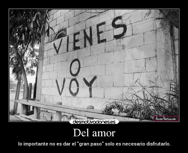 Del amor - 