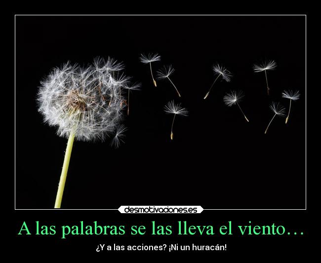A las palabras se las lleva el viento… -