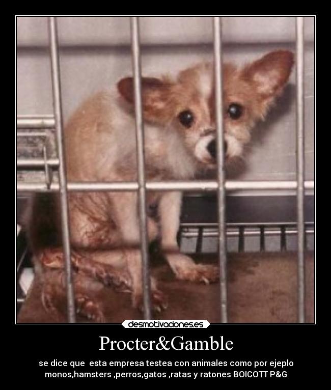 Procter&Gamble - se dice que esta empresa testea con animales como por ejeplo
monos,hamsters ,perros,gatos ,ratas y ratones BOICOTT P&G