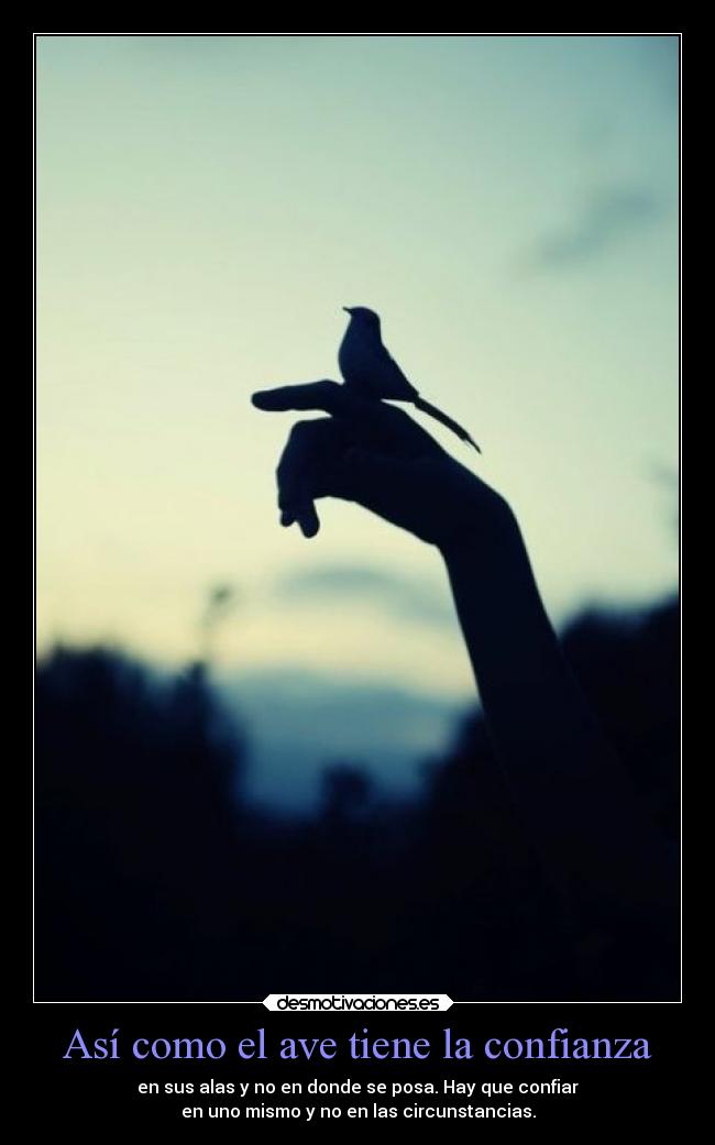 Así como el ave tiene la confianza - en sus alas y no en donde se posa. Hay que confiar
en uno mismo y no en las circunstancias.