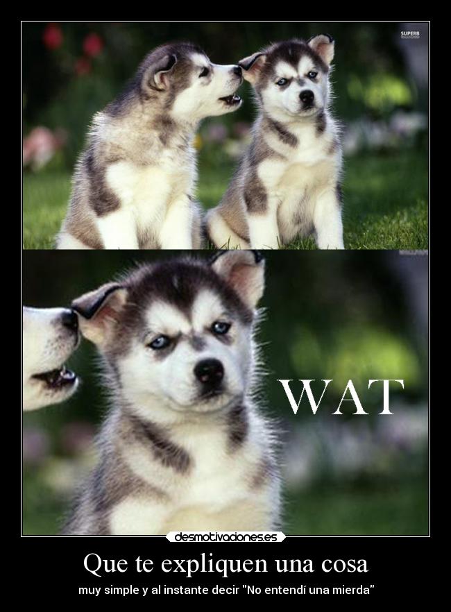 Que te expliquen una cosa -