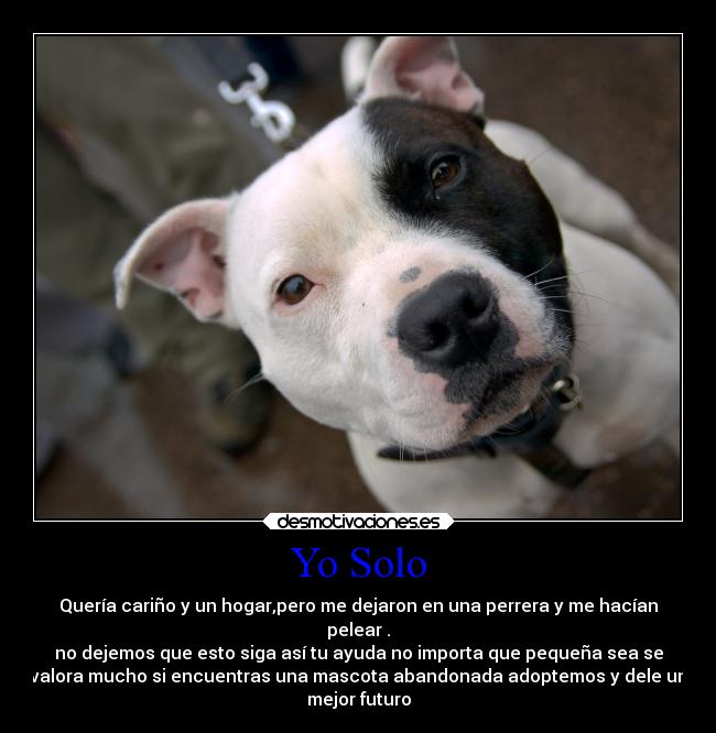 Yo Solo - 