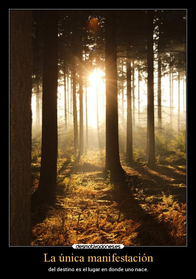 La única manifestación -