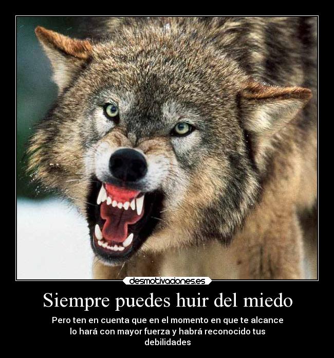 carteles miedo huir del miedo enfrentar tus miedos lobo desmotivaciones