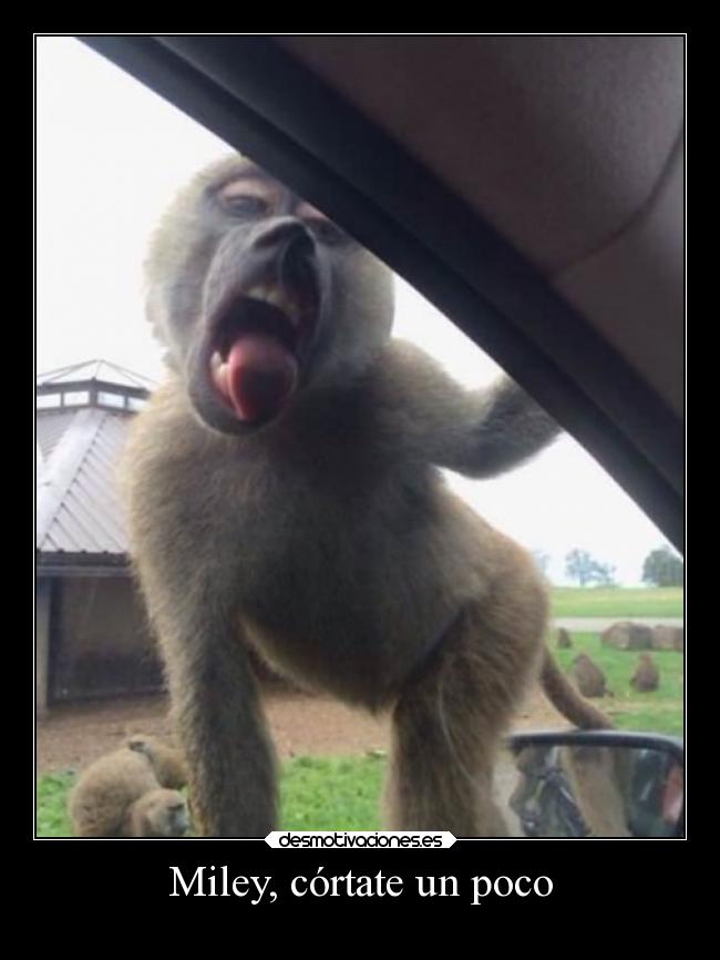 Miley, córtate un poco -