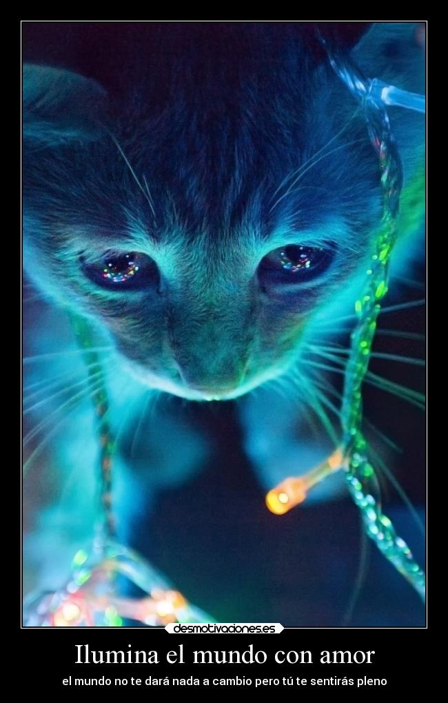 Ilumina el mundo con amor - el mundo no te dará nada a cambio pero tú te sentirás pleno