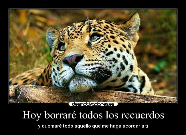 Hoy borraré todos los recuerdos - 